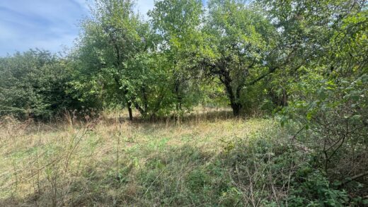 Na prodaju plac – Trgovište, Sokobanja